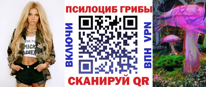 Псилоцибиновые грибы Psilocybine cubensis  Купить закладки  Киренск 